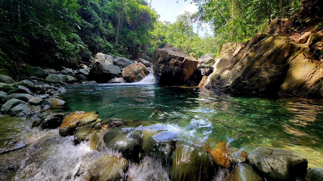 💦🌳Sendero Trillos Rio Jatubey - Charco La Jaiba