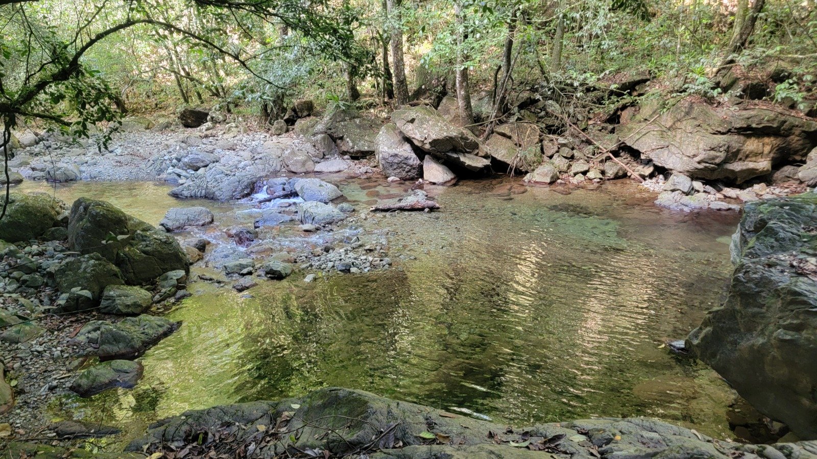 💦🌳 Trillos Río Jaguey + Bosque Loma Miranda
